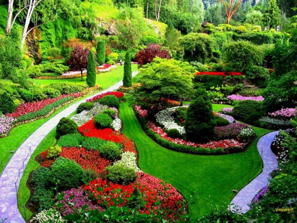 Peyzaj Nasıl Yapılır?